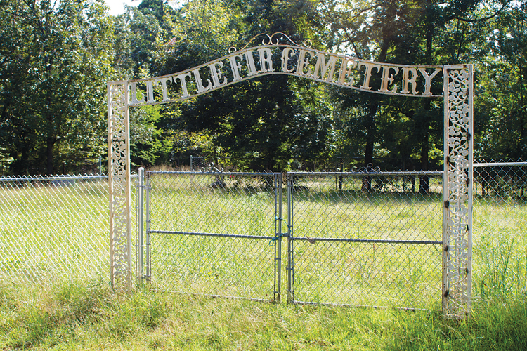 Board members seeking help with neglected Little Fir Cemetery