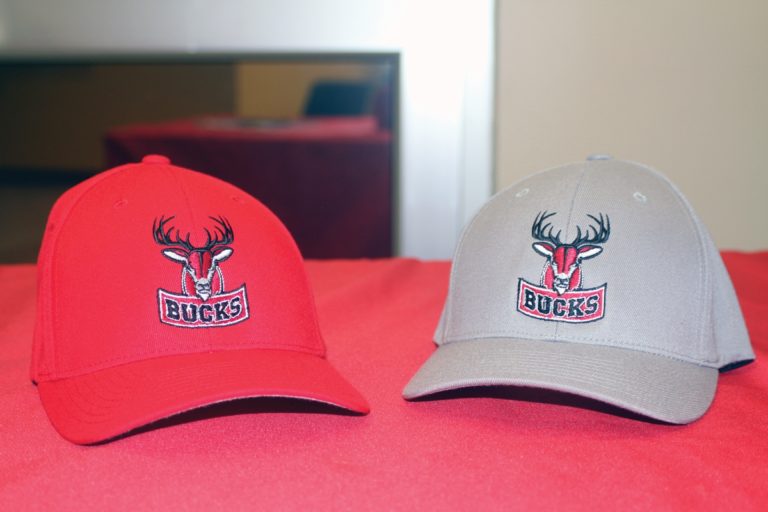 UA Rich Mountain unveils mascot