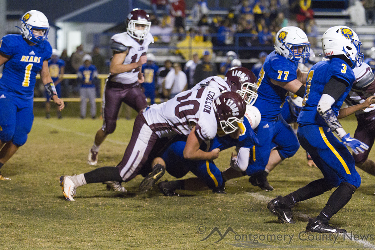 Lions crush Bears 60-6